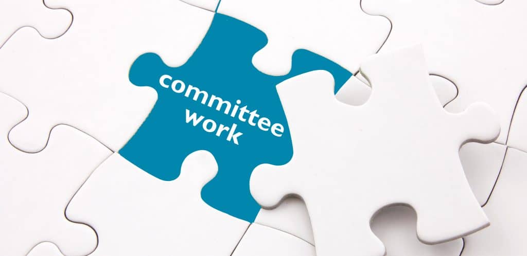 why committee assignments are important